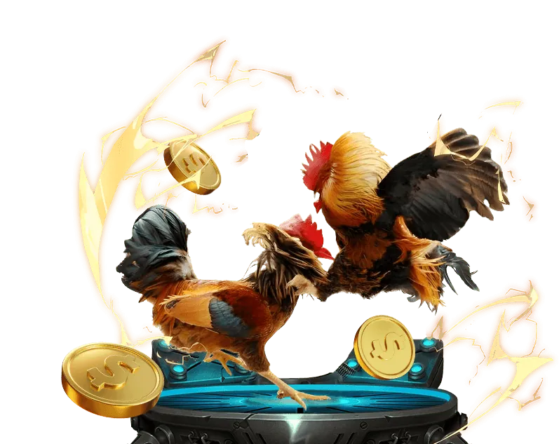 Hình ảnh đá gà trực tuyến